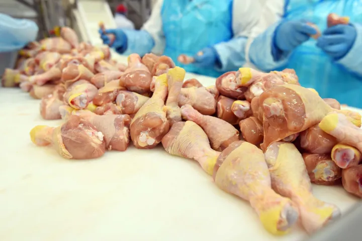 07.12.2016., Cakovec - Svjeza piletina."nPhoto: Vjeran Zganec Rogulja/PIXSELL 