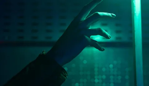 MAGAZIN PEXELSPHOTO BY Mikhail Nilov