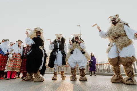 VINKOVCI - POKLADE, 2025.