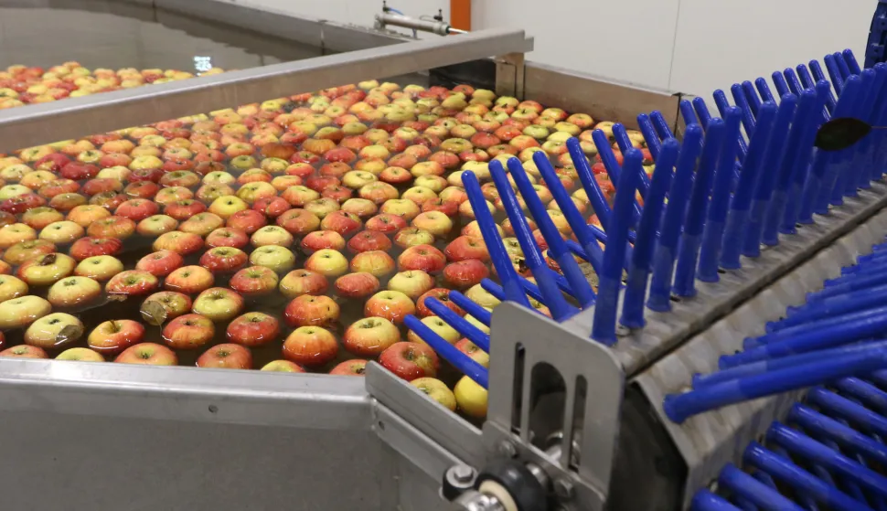 Osijek, 08. 01. 2026, Industriska zona Nemetin. Regionalni distribucijski centar, RDC, županica Nata&scaron;a Trami&scaron;ak obi&scaron;la centar i sastala se s proizvođačima jabuka. Linija za pakovanje jabuka, pakeraj.snimio GOJKO MITIĆ