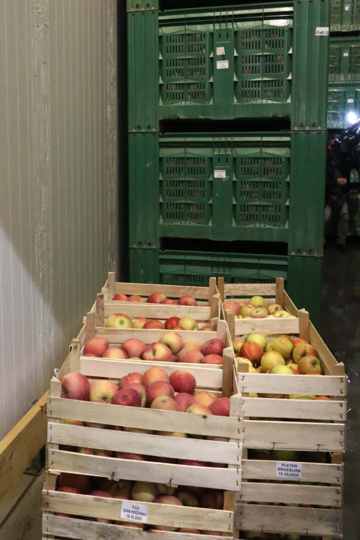 Osijek, 08. 01. 2026, Industriska zona Nemetin. Regionalni distribucijski centar, RDC, županica Nata&scaron;a Trami&scaron;ak obi&scaron;la centar i sastala se s proizvođačima jabuka. Linija za pakovanje jabuka, pakeraj. Hladnača.snimio GOJKO MITIĆ