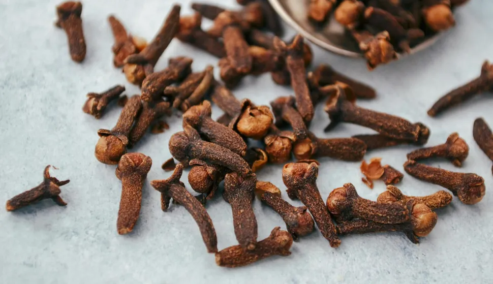 klinčić, klinčići