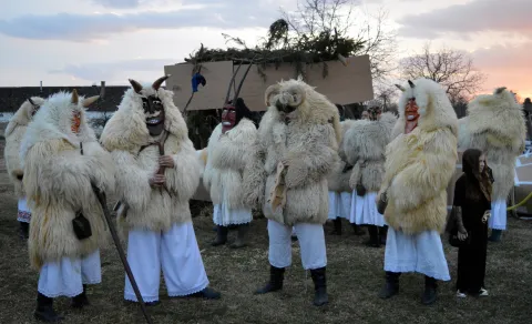 Petaračke bu&scaron;e