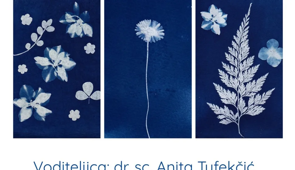 Ministarstvo obrazovanja odobrilo je &scaron;koli 1800 eura za provedbu projekta "Fotografija u plavom &ndash; kreativnost kroz cijanotipiju"siječanj 2026.