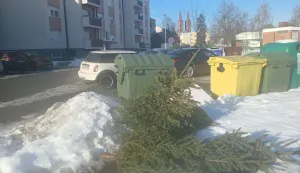 ĐakovoOdbačena božićna drvcaSiječanj 2026.