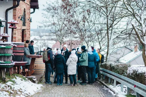Vinkovo u Slavoniji i Baranji - TZ OBŽ