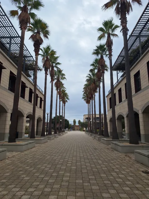 U pjesmi Chrisa Ree svijetle crvena božićna svjetla, a nama ona sa zatvorske stražarnice