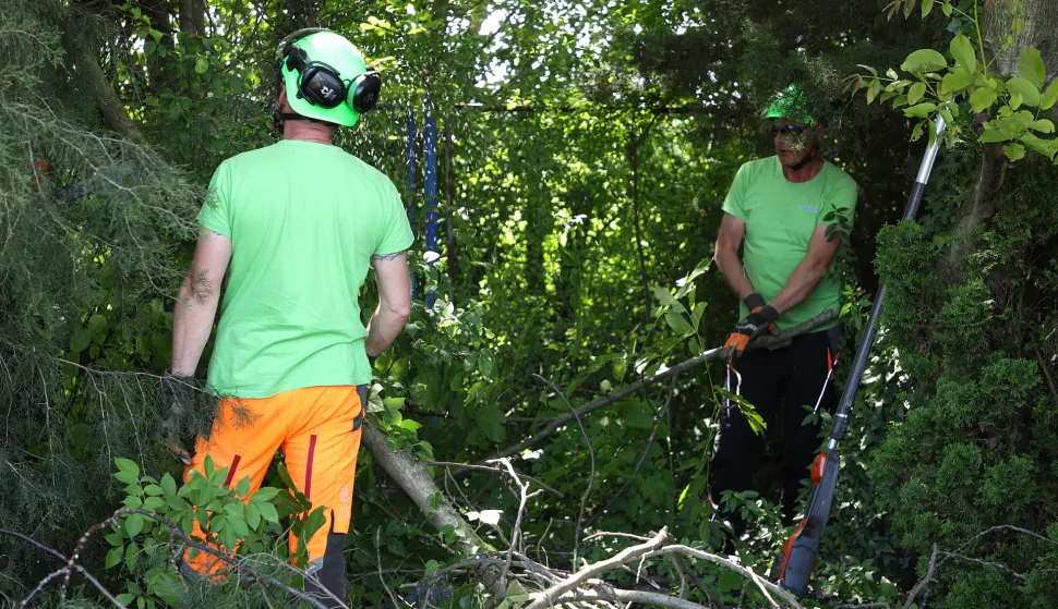 Osijek, 14. 05. 2025., Bistrička ulica, projekt gradnje, cesta, ulica nerazvrstana cesta, konferencija za medije, press, krčenje &scaron;ume; krčenje &scaron;uma; krčenje; &scaron;uma; ilustracijaSNIMIO BRUNO JOBST