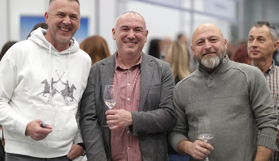 Osijek, 17. 01. 2026., GC, 11. WineOS, WineOS 2026, WIneOS - drugi dan, smogovciSNIMIO BRUNO JOBST