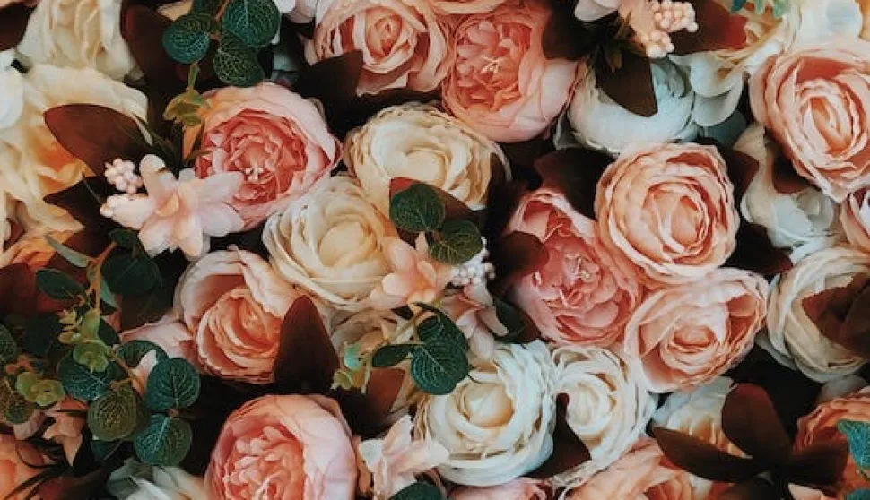 ruže ruže ruževeljača 2024.