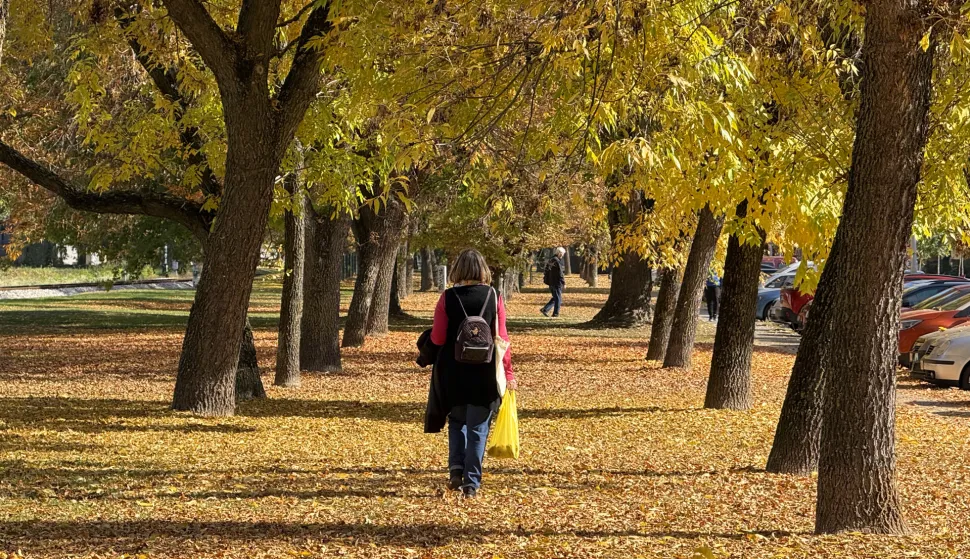 Osijek, 22. 10. 2025., jesen, &scaron;etnja, li&scaron;će, rekreacija, toplo vrijeme, ilustracija, slobodnjak, slobodnjaci SNIMIO BRUNO JOBST