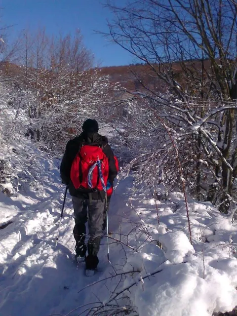 JANKOVAC-SIJEČANJ 2022. - Savjet planinarima, obvezno javite lokaciju boravka u Papuku HGSS-u ili rendžerima Parka priije polaska SNIMIO: PARK PRIRODE PAPUK