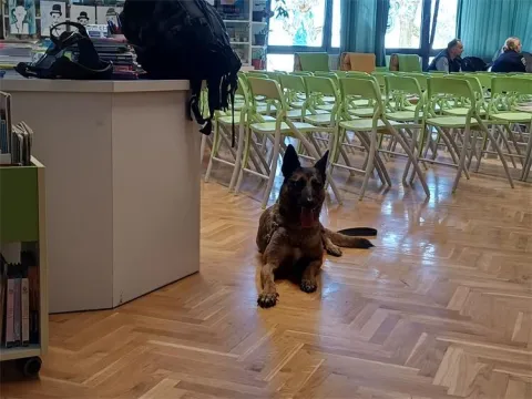 Osma&scaron;i O&Scaron; Eugena Kumičića u Slatini na jedan dan postali detektivi poput Herculea Poirota