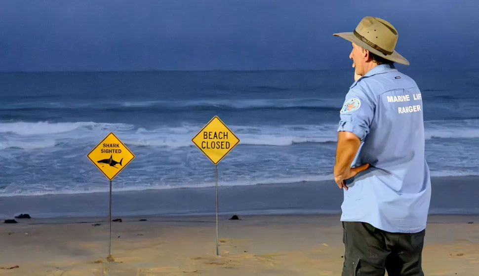 A marine life ranger stands near the closed signage of the North Steyne Beach in Sydney on January 19, 2026. A shark mauled a surfer off an ocean beach in Sydney on January 19 in the Australian city's third shark attack in two days, authorities said. (Photo by Steven Markham/AFP)