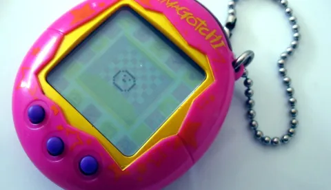 foto Tomasz Sienicki [user: tsca, mail: tomasz.sienicki at gmail.com] - Own work, CC BY-SA 3.0, https://commons.wikimedia.org/w/index.php?curid=2169298