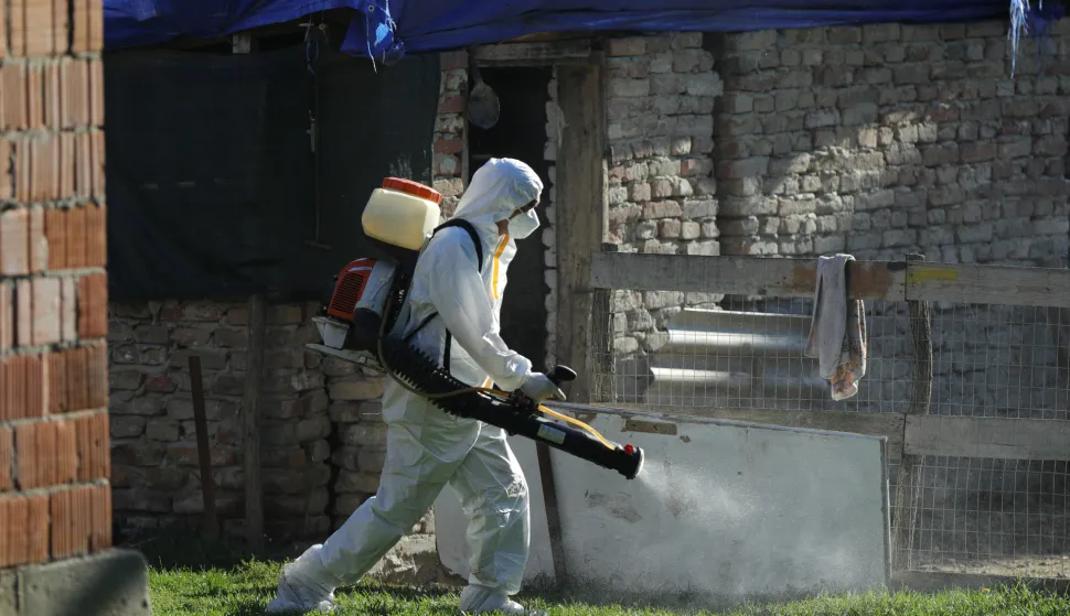 19.09.2025., Vardarac - Odvoz svinja zbog afričke kuge. Brojne eutanazirena svinje su odvedene, a prostor gdje su se nalazile je dezinficiran Photo: David Jerkovic/PIXSELL