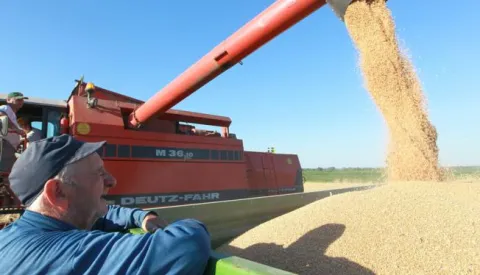 08.07.2014., Koprivnica - Poljoprivrednici intenzivno skidaju usjeve psenice sa polja kako bi preduhitrili najavljenu visednevnu kisu, jer bi im vlaga dodatno smanjila prihode koji ce, kako kazu, biti nikakvi jer je urod puno manji nego lani zbog loseg sjemena i blage zime. photo: Marijan Susenj/PIXSELL------4 st color ekonomija