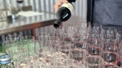 Otvaranje nove vinarije Vinarije Josić