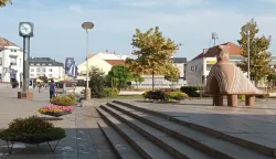 Vukovar, sredi&scaron;te grada