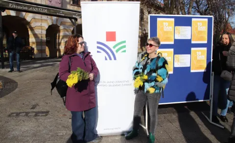 19. Dan mimoza, Vinkovci