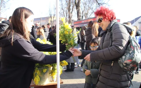 19. Dan mimoza, Vinkovci