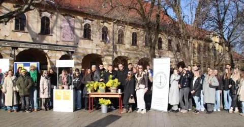 19. Dan mimoza, Vinkovci