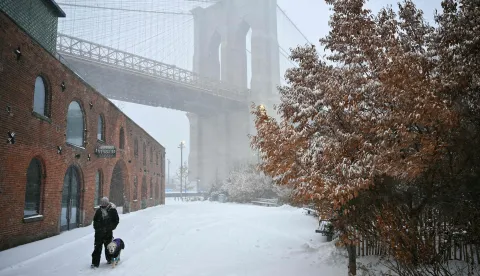 A person and their dog walk near the Brooklyn Bridge as snow falls in the Brooklyn borough of New York City on January 25, 2026. A massive winter storm on January 24 dumped snow and freezing rain from New Mexico to North Carolina as it swept across the United States towards the northeast, threatening tens of millions of Americans with blackouts, transportation chaos and bone-chilling cold. After battering the country's southwest and central areas, the storm system began to hit the heavily populated mid-Atlantic and northeastern states as a frigid air mass settled in across the nation. (Photo by ANGELA WEISS/AFP)