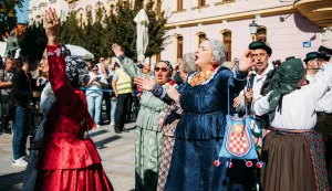 VINKOVCI - VINKOVAČKE JESENI, 2025.?