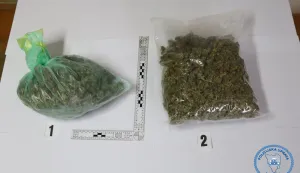 Dvojici oduzeta marihuana na granici u Slavoniji, ilustracija