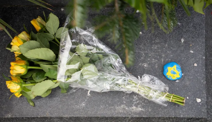 Osijek, 27. 1. 2026., Dan sjećanja na žrtve holokausta, Park Oscara Nemonaholokaust; dan sjećanja; žrtve holokausta; Oscar Nemon; skulptura; Majka i dijete; Židovska općina Osijek; polaganje vijenaca; kamen spoticanja; detalj; ilustracija