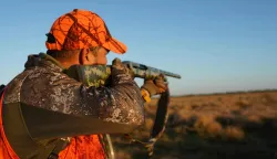 Hajka lovaca na divlje svinje po ulicama Zadra