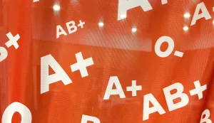 Osijek, 26. 11. 2022, TC Portanova, akcija darivanja krvi, Crveni kriz OsijekSNIMIO BRUNO JOBST