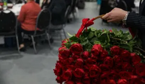 zajednička proslava zlatnog pira - najava