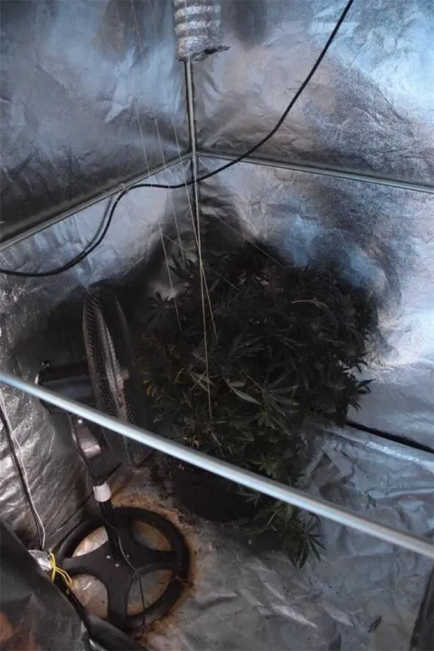 Temeljem naloga Općinskog suda u Osijeku jučer su policijski službenici Policijske postaje Beli Manastir u Dardi obavili pretragu doma i drugih prostorija, kojima se koristi 42-godi&scaron;nji Osječanin.