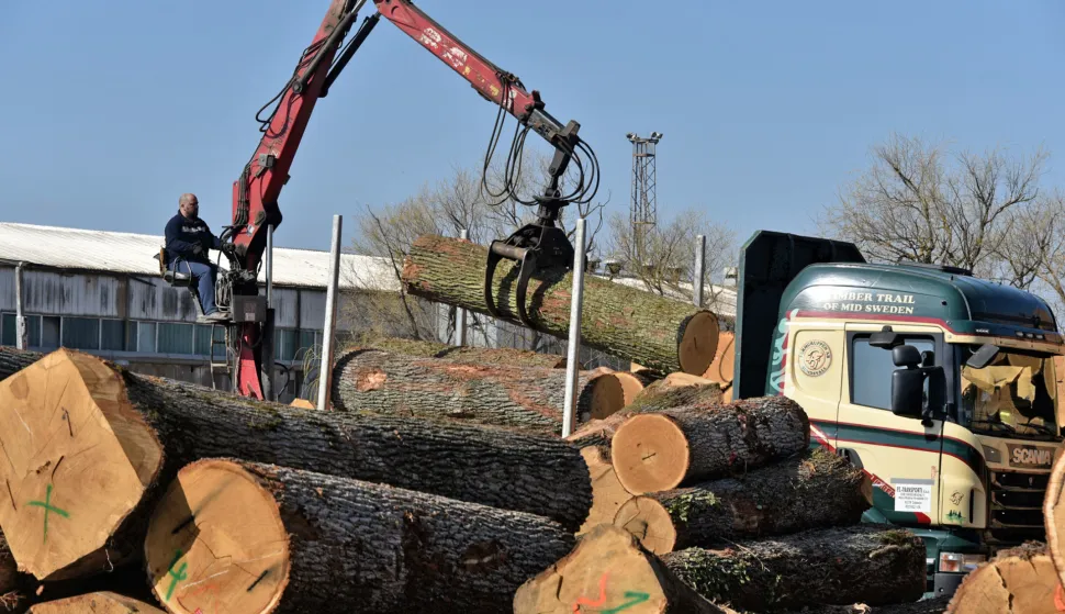 slavonija...vinkovci...02.03.2021.drvna industrija spacva d.d.; izjave za medije povodom zavrsetka grupne strucne prakse u spacvi d.d. u okviru projekta "razvoj i provedba stručne prakse na studijima sumarskog fakulteta" foto Gordan Panić