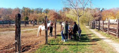 VINKOVCIKonjički klub Satir&nbsp;iz Vinkovaca i partneri planiraju izgradnju suvremenog konjičkog centra na Zalužju koji bi pro&scaron;irio dosada&scaron;nje aktivnosti, a taj bi centar obuhvaćao sportske sadržaje i infrastrukturne kapacitete za jahanje i natjecanja, prostor za terapijsku i rehabilitacijsku djelatnost uz konje, rekreacijske aktivnosti za građane i turiste te edukacijske programe i radionice o radu s konjima, zdravlju, sportu i terapiji.siječanj 2026.