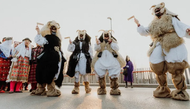 VINKOVCI - POKLADE, 2025.