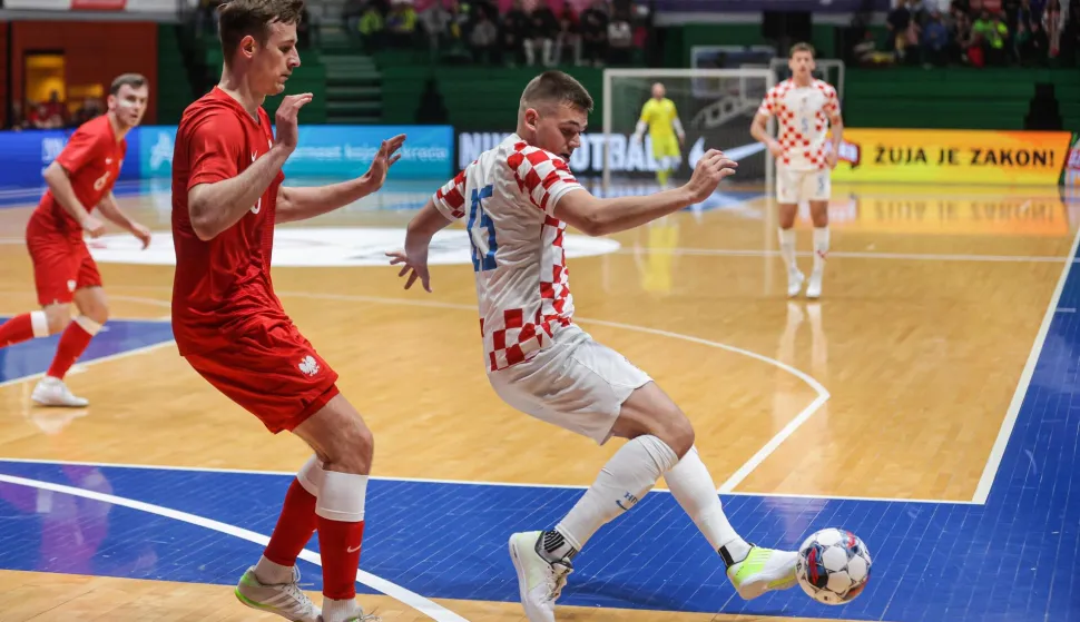 Piplica: Ljudi, točite gorivo, kupite vinjete, vidimo se u Ljubljani na polufinalu EURA!