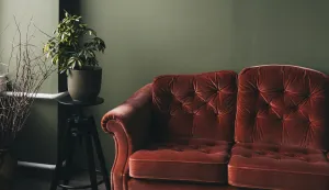 zeleni zid, smeđi kauč