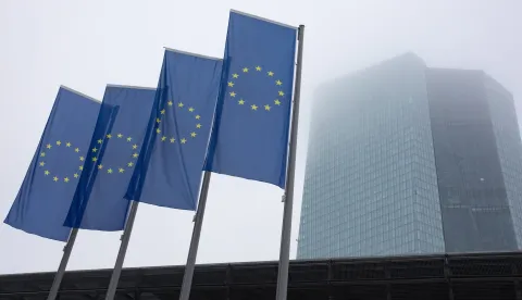 epa10367225 EU flags outside the European Central Bank (ECB) office building complex in Frankfurt am Main, Germany, 15 December 2022. The ECB raised on 15 December its key interest rate by 0.5 point to 2.5 percent. EPA/ANDRE PAIN