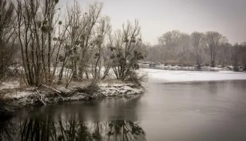 21.01.2021., Osijek - Zimska idila u Kopackom ritu. Photo: Dubravka Petric/PIXSELL