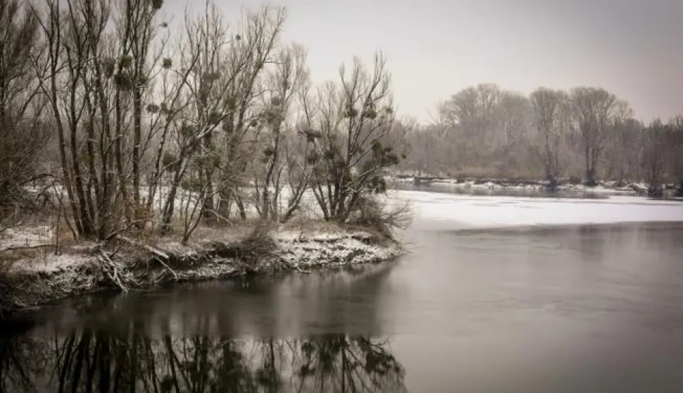 21.01.2021., Osijek - Zimska idila u Kopackom ritu. Photo: Dubravka Petric/PIXSELL