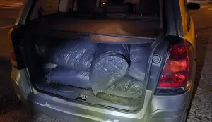 Zaplijena duhana i cigareta