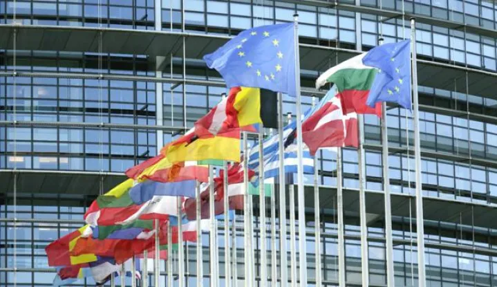 European Union member state flags next to the European Parliament in Strasbourg, France. Taken 21 August, 2016. Photo. S. Steinach - NO WIRE SERVICE - | usage worldwide /DPA/PIXSELL------1 stupac colornovosti