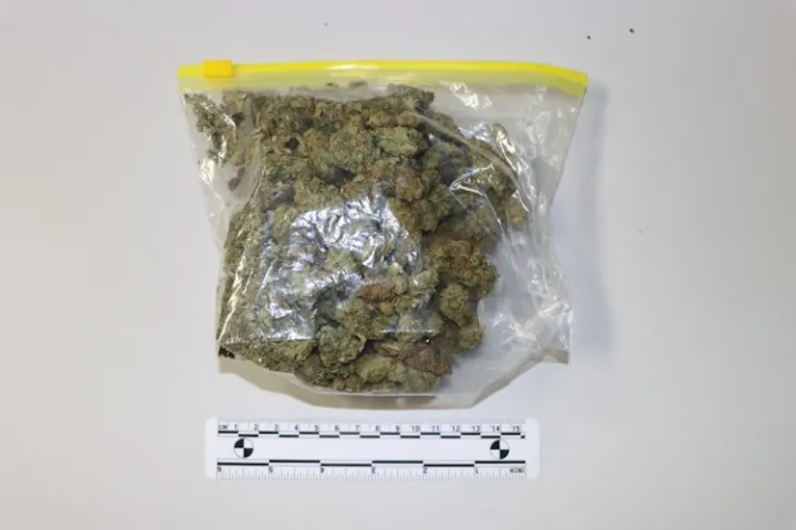 Uhićen 22-godi&scaron;nji diler marihuane: Preko aplikacije ruksak s drogom poslao u Varaždin