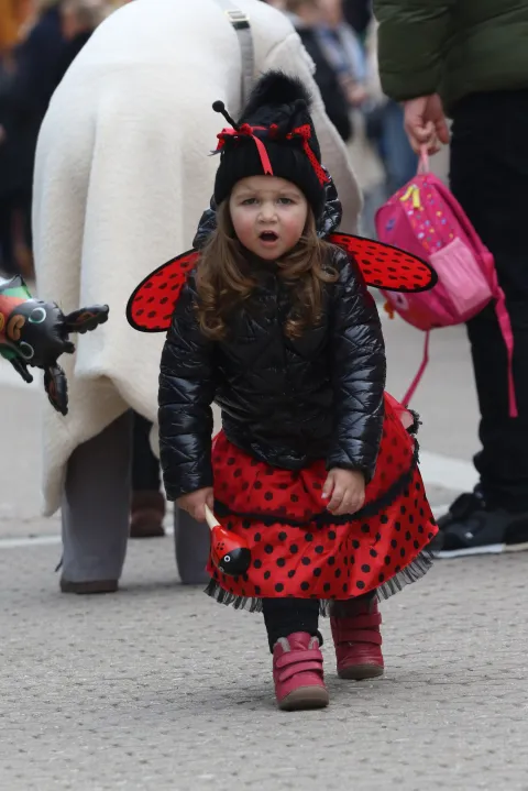 Đakovo, 22. 02. 2025, 31. Đakovački bu&scaron;ari, povorka i predaja ključeva grada.snimio GOJKO MITIĆ