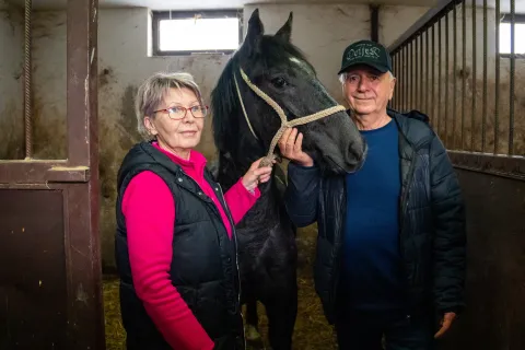 Tenja, 7. 2. 2026., Pokljadno jahanje, Tenjadomaćini Cvitković; pokladno jahanje; konji; graničari; običaji
