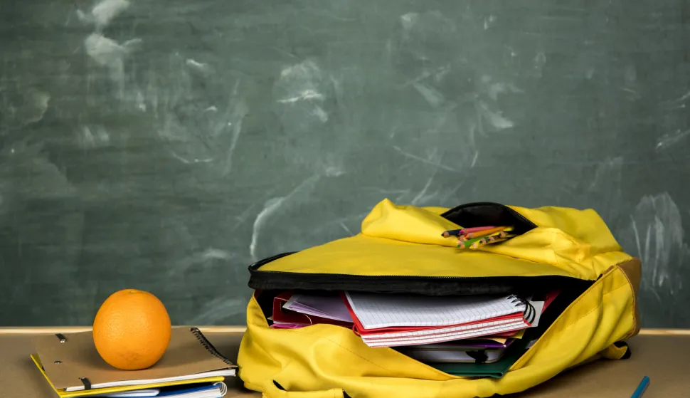 &scaron;kola ilustracija torba ploča freepik