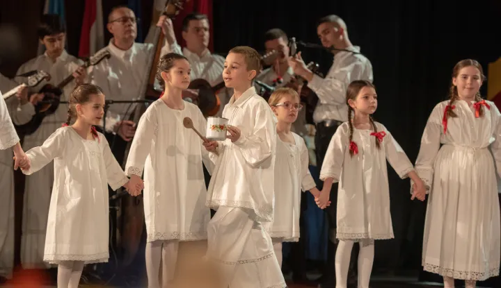 Malo &scaron;okačko sijeloFoto-Video Focus