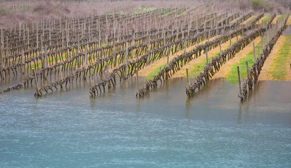 Vrgorac, 17.03.2025 - Nakon obilnih ki&scaron;a poplavili su vinogradi i voćnjaci u vrgoračkom polju. Rijeka Matica se izlila iz toka u polju Jezero, a kako je izvijestio HAK na svojim službenim stranicama zbog vode na kolniku zatvorena je cesta Draževitići-Veliki prolog. foto HINA/ Jure DIVIĆ/ ik